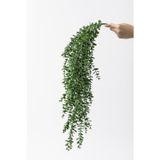 Güleç Yapay Çiçek Yapay Okaliptus Sarmaşık Uv Korumalı Koyu Yeşil 90 Cm 5 Dal