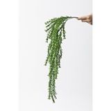Güleç Yapay Çiçek Yapay Püsküllü Sarmaşık Uv Korumalı Koyu Yeşil 80 Cm 5 Dal Çok Renkli