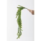 Güleç Yapay Çiçek Yapay Püsküllü Sarmaşık Uv Korumalı Yeşil 80 Cm 5 Dal