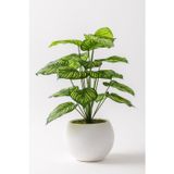 Güleç Yapay Çiçek Yapay Salon Köşe Çiçeği Devetabanı Yeşil Sarı 65 Cm Küre Plastik