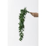 Güleç Yapay Çiçek Yapay Sarmaşık Çay Uv Korumalı Koyu Yeşil 75 Cm 5 Dal
