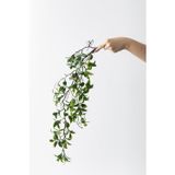 Güleç Yapay Çiçek Yapay Sarmaşık Çay Uv Korumalı Yeşil 75 Cm 5 Dal