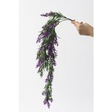 Güleç Yapay Çiçek Yapay Sarmaşık Kılıç (Uv) Korumalı Yeşil Mor 80 Cm 5 Dal (Uv)