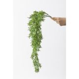 Güleç Yapay Çiçek Yapay Sarmaşık Kuşkonmaz Uv Korumalı Açık Yeşil 75 Cm 5 Dal