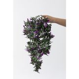 Güleç Yapay Çiçek Yapay Sarmaşık Şeflore (Uv) Korumalı Yeşil Mor 80 Cm 5 Dal (Uv)