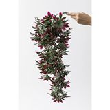Güleç Yapay Çiçek Yapay Sarmaşık Şeflore Uv Korumalı Yeşil Pembe 80 Cm 5 Dal Çok Renkli