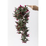 Güleç Yapay Çiçek Yapay Sarmaşık Şeflore Uv Korumalı Yeşil Pembe 80 Cm 5 Dal
