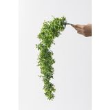 Güleç Yapay Çiçek Yapay Sarmaşık Şimşir Uv Korumalı 75 Cm 5 Dal