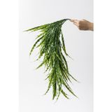 Güleç Yapay Çiçek Yapay Sarmaşık Uv Korumalı Sazlık Yeşil 90 Cm 5 Dal
