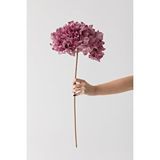 Güleç Yapay Çiçek Yapay Vazo Çiçeği Ortanca 75 Cm 5 Dal Gül Kurusu Çok Renkli