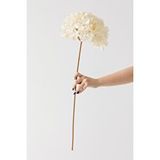 Güleç Yapay Çiçek Yapay Vazo Çiçeği Ortanca 75 Cm 5 Dal Krem Çok Renkli