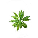 Güleç Yapay Çiçek Yapay Yeşillik Aglaonema Bitkisi - Renkli