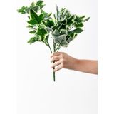 Güleç Yapay Çiçek Yapay Yeşillik Demeti Alacalı Yeşil 40 cm 5 Dal