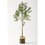 Güleç Yapay Çiçek Yapay Zeytin Ağacı 175 Cm Kahverengi Gold Metal Saksı Çok Renkli