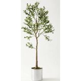 Güleç Yapay Çiçek Yapay Zeytin Ağacı 175 Cm Metal Saksı