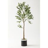 Güleç Yapay Çiçek Yapay Zeytin Ağacı 175 Cm Siyah Gümüş Metal Saksı Çok Renkli