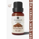Gülhanya Aromaterapi Çam Çırası Uçucu Yağı 10ml