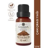 Gülhanya Çam Çırası Uçucu Yağı 10 ml