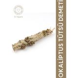 Gülhanya Okaliptus Tütsü Demeti - 1 Adet - Yeşil - Beyaz