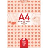 Gülpaş 144 Teknik Resim Defteri