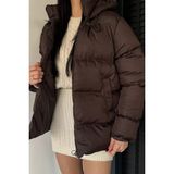 Gülseli Kadın Kapüşonlu Iç Astarlı Şişme Mont P-00019025 - 38 - Kahve
