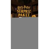 Gültekin Harry Potter Sürpriz Figür Koleksiyonu Kutu Oyuncak