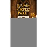 Gültekin Harry Potter Sürpriz Figür Oyuncak Koleksiyon Kutusu