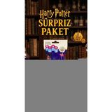 Gültekin Harry Potter Temalı Koleksiyonluk Sürpriz Figür Seti 2'li Paket
