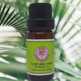 Gülyöresinden Çam Çırası Yağı 10 ml – Doğal Aromaterapi Yağı, Ortam Kokusu