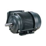 Gümrük Bey Toshiba Eqp Global Sd 2 Hp 1.5 Kw 1750 Rpm Nema 145T Elektrik Motoru (0024SDSR41A-P)