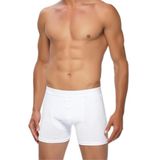 GÜMÜŞ Erkek Likralı Penye Boxer 4018-6 Adet, M