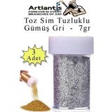 Gümüş Gri Toz Sim Tuzluklu 7 gr 3 Adet Renkli Toz Sim Epoksi Reçine Okul Etkinlik Dekarasyon Slime