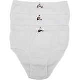 Gümüş Kadın Çizgili Bato Külot 3092 6 Adet - 2XL - Beyaz
