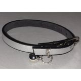 GÜMÜŞ RENK VARAKLI METAL TOKALI KLASİK KEDİ TASMASI