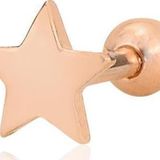 Gümüş rose yıldız modeli Tragus helix Piercing küpe