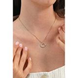 Gümüş Rose Zirkon Taşlı Ay Yıldız Kolye Sgtl11187rose
