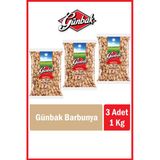 Günbak Barbunya 1 Kg x 3 Adet