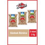 Günbak Börülce 1 Kg X 3 Adet