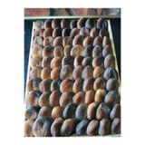 GÜNDOĞDU KAYISI Gün Kurusu Kayısı Jumbo 1000gr