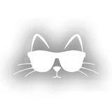 Güneş Gözlüğü Takan Kedi Araba Sticker 17X17 Cm Beyaz