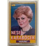 Güneş Plak Neşe Karaböcek Avare Kaset (Sıfır Jelatinli)