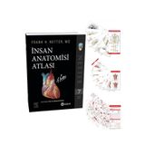 Güneş Tıp Kitabevleri Netter İnsan Anatomisi Atlası + Anatomi Cep Kartları Seti