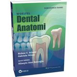 Güneş Tıp Kitabevleri Woelfel Dental Anatomi - Hüseyin Avni Balcıoğlu, Türkçe 2019 Ciltli Kitap