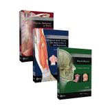 Güneş Yayın Dağıtım Açıklamalı İnsan Anatomisi Atlası 1-2-3