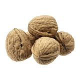 Güney Kuruyemiş Kabuklu Ceviz 1000 gr - 1 kg