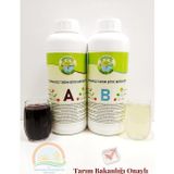 Güneydoğu Topraksız Tarım Hidroponik Çilek Besini 1 Litre A Ve B Besini Topraksız Tarım Tarım Bakanlıkğı Onaylı