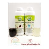 Güneydoğutopraksıztarım Hidroponik Çilek Besini 1 Litre A Ve B Besini Topraksız Tarım Tarım Bakanlıkğı Onaylı