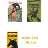 Günışığı Kitaplığı Büyük Tuzak: 4, 5, 6. Sınıflar + Dünyanın Merkezine Yolculuk + Siyah Inci Hediye - Hayır