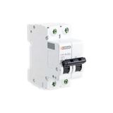 Günsan C 2X40A 4,5ka Otomatik Sigorta