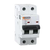 Günsan Valta Otomatik Sigorta 10kA C Tip 2 Kutup 40A